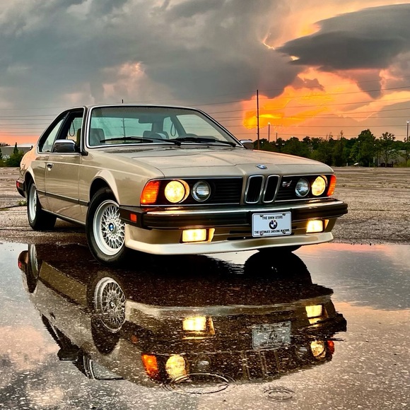 Meet your Posher, Andrew - Picture 2 of 2